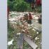 IMG-20250422-WA0005